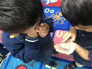 children exploring with magnifying lense 