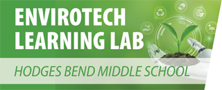  green plant seedling and green bg logo