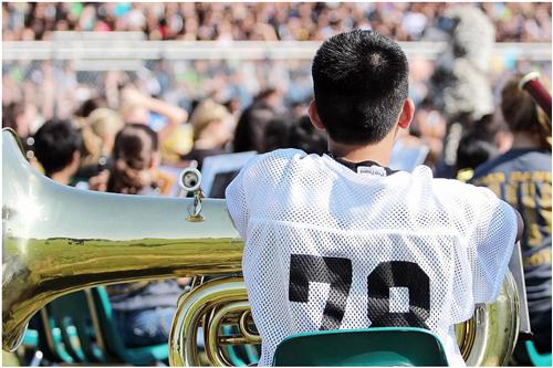 Band 