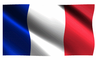 French flag 
