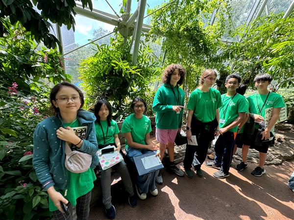 Innovations Conceptual Learning Experience: HMNS
